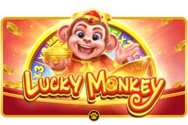 377bet6